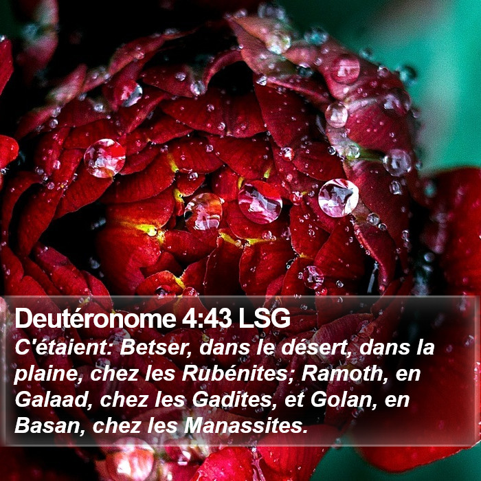 Deutéronome 4:43 LSG Bible Study