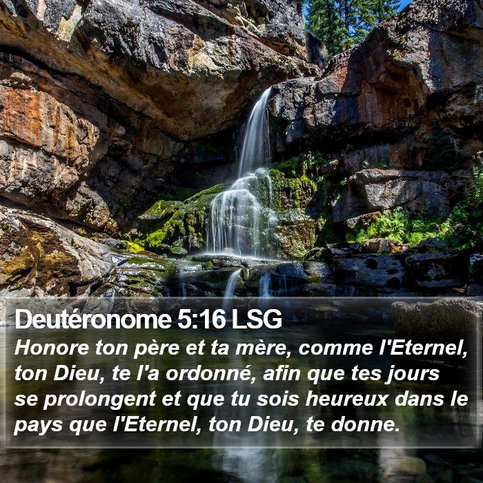 Deutéronome 5:16 LSG Bible Study