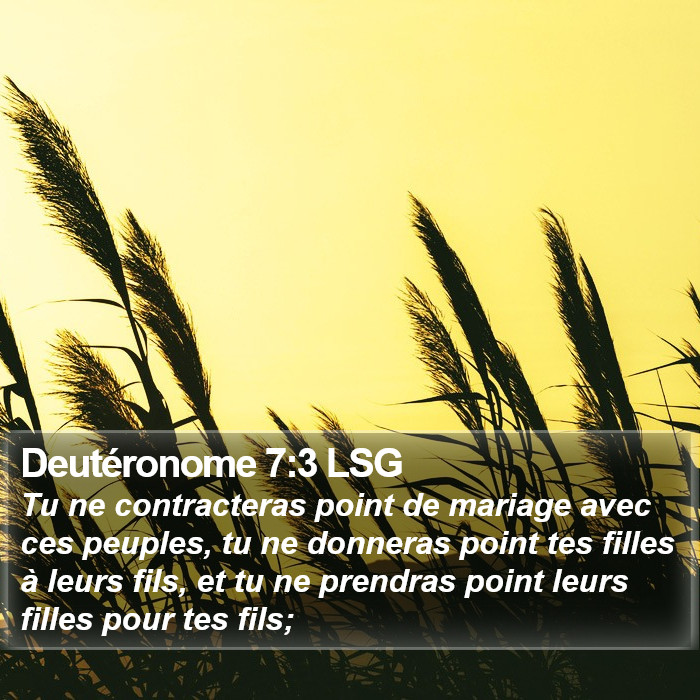 Deutéronome 7:3 LSG Bible Study