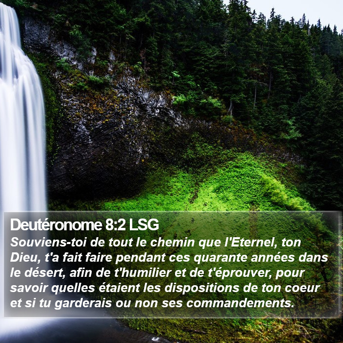 Deutéronome 8:2 LSG Bible Study