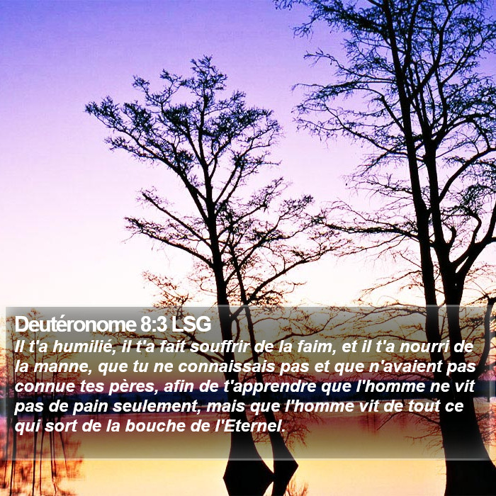 Deutéronome 8:3 LSG Bible Study