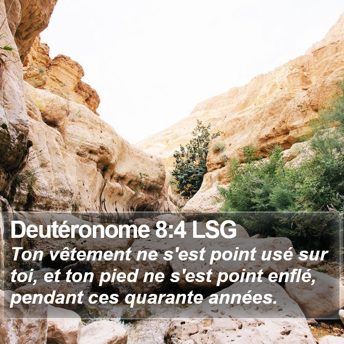 Deutéronome 8:4 LSG Bible Study