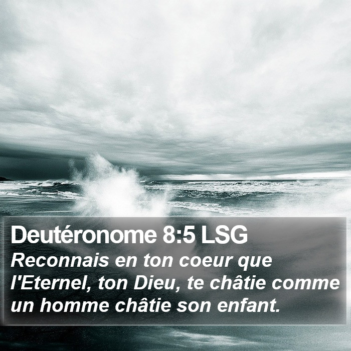 Deutéronome 8:5 LSG Bible Study