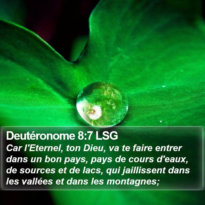 Deutéronome 8:7 LSG Bible Study