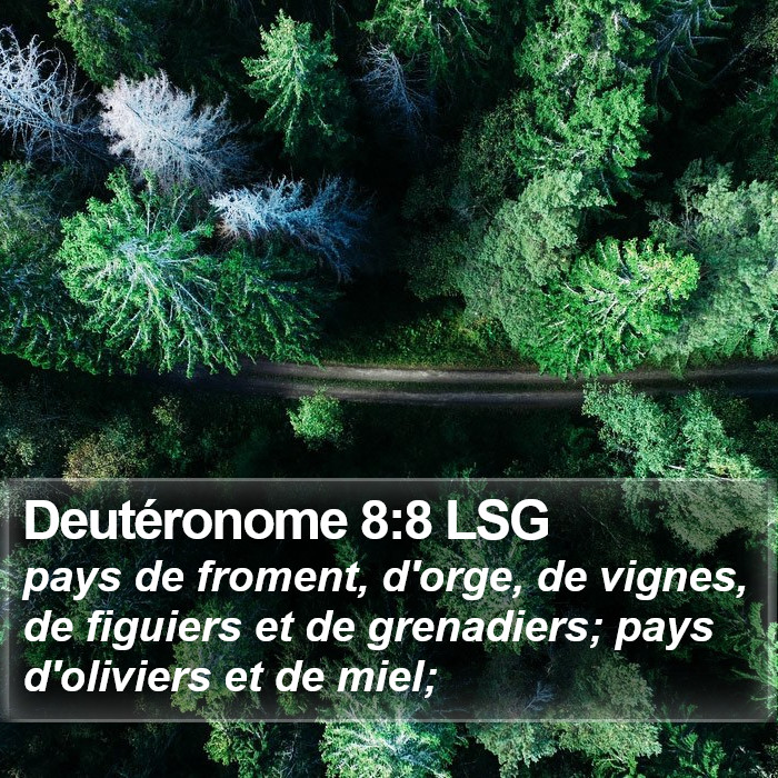 Deutéronome 8:8 LSG Bible Study