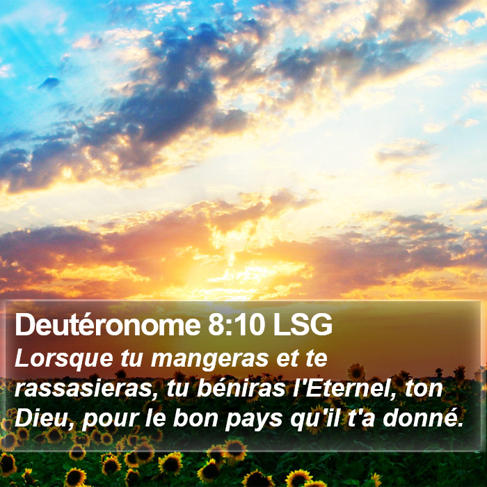 Deutéronome 8:10 LSG Bible Study
