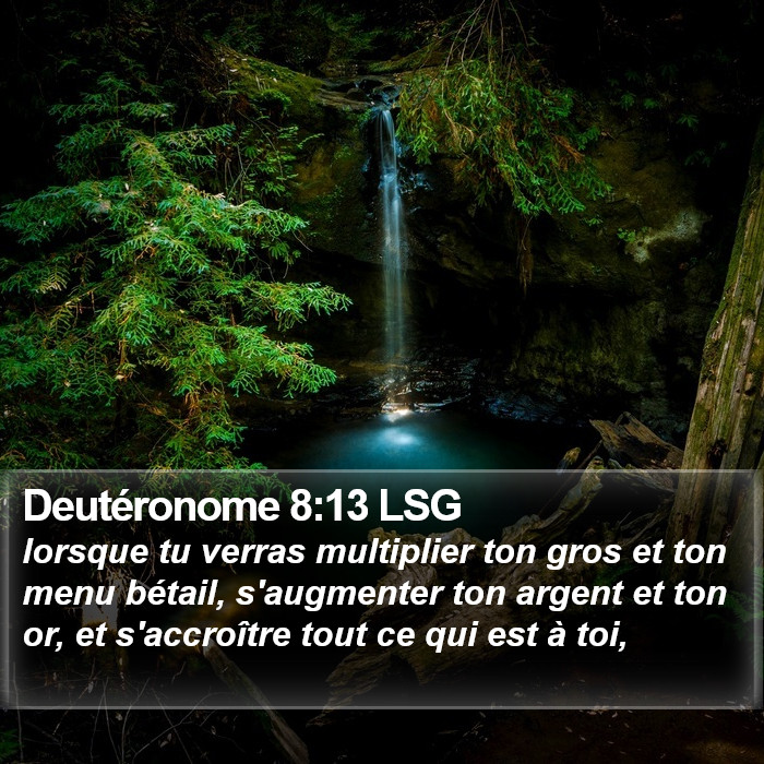 Deutéronome 8:13 LSG Bible Study
