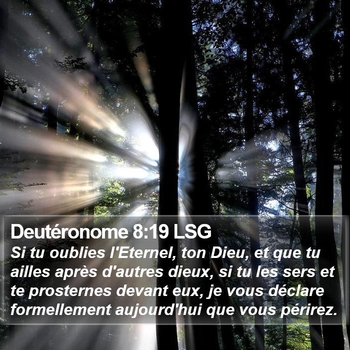 Deutéronome 8:19 LSG Bible Study