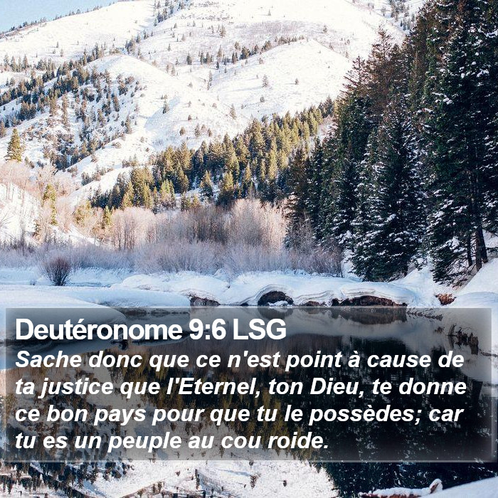 Deutéronome 9:6 LSG Bible Study