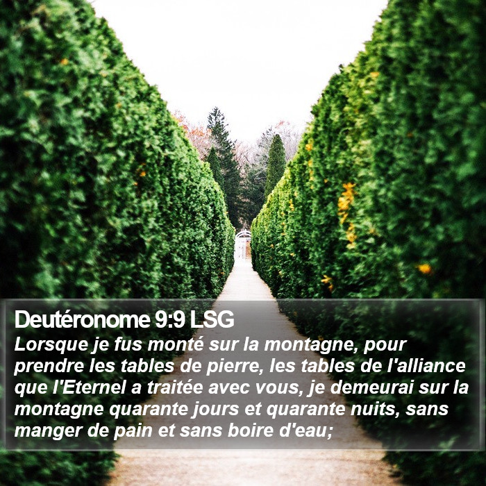 Deutéronome 9:9 LSG Bible Study