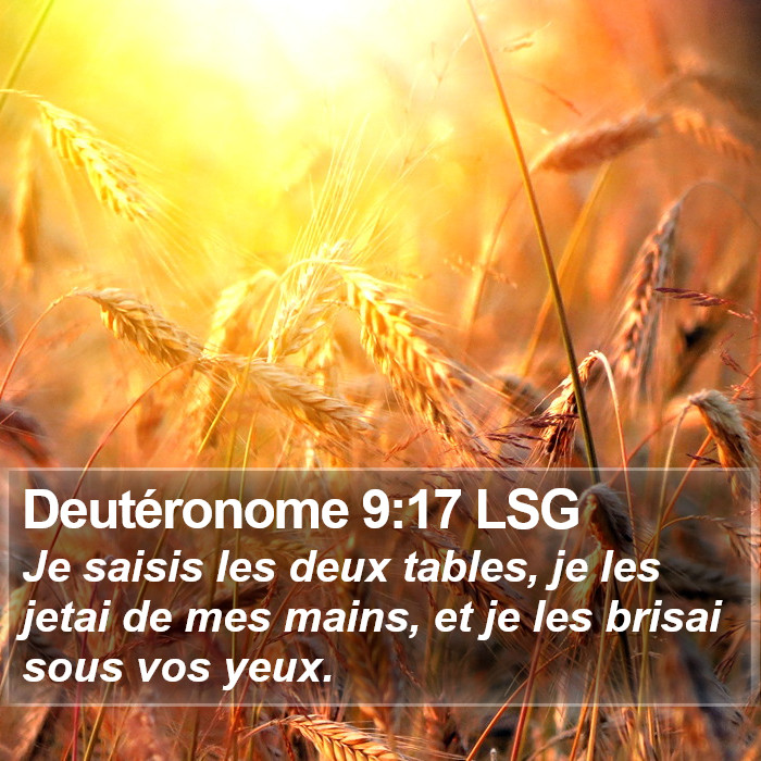 Deutéronome 9:17 LSG Bible Study