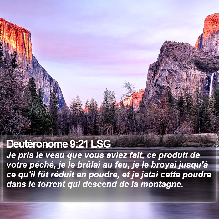 Deutéronome 9:21 LSG Bible Study