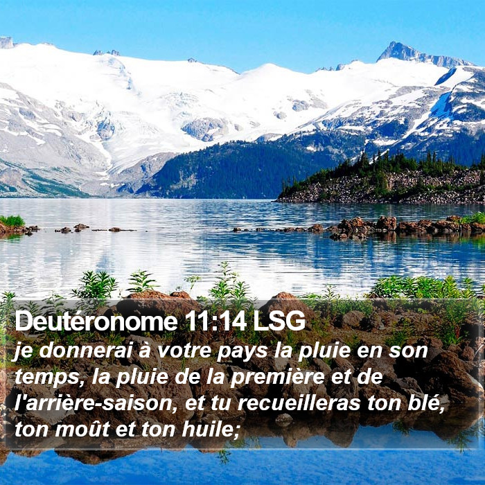 Deutéronome 11:14 LSG Bible Study
