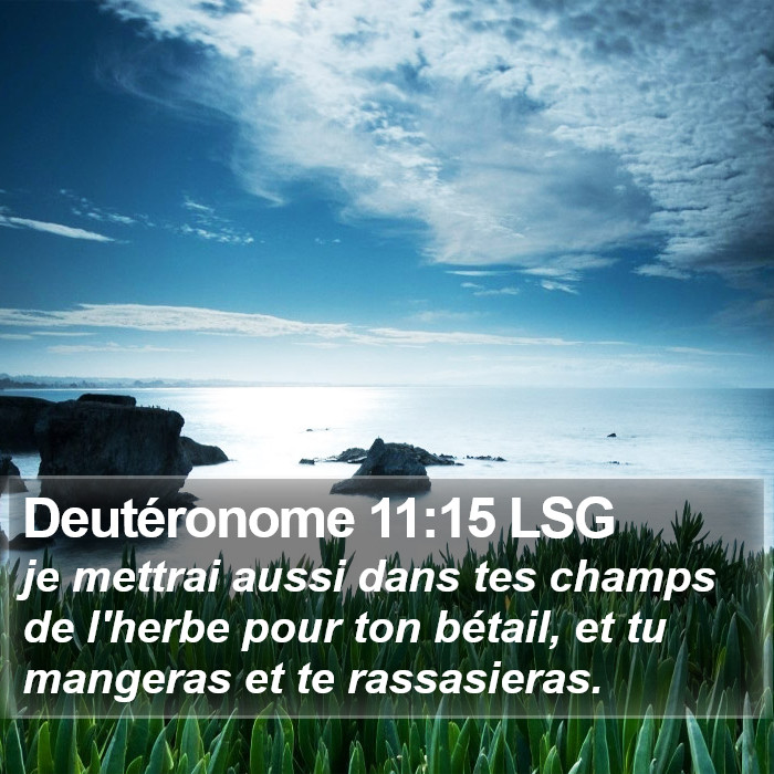 Deutéronome 11:15 LSG Bible Study
