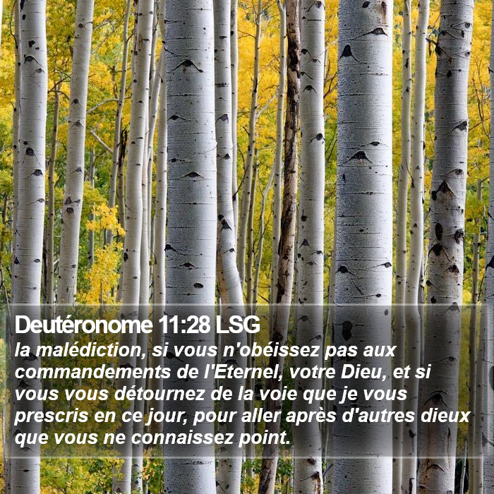 Deutéronome 11:28 LSG Bible Study