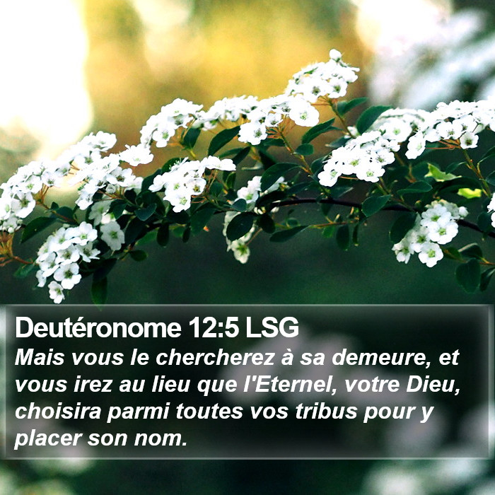 Deutéronome 12:5 LSG Bible Study