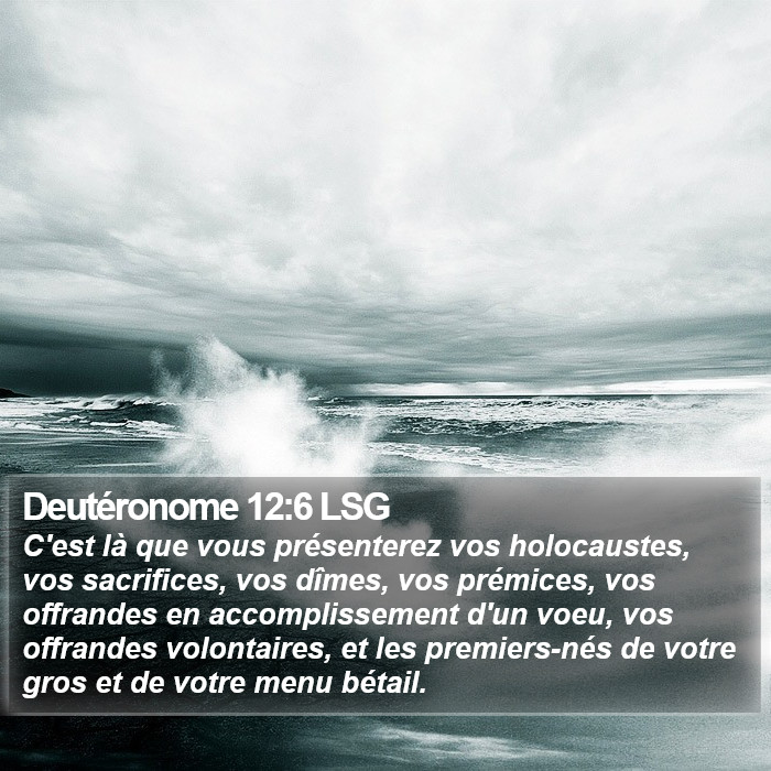 Deutéronome 12:6 LSG Bible Study