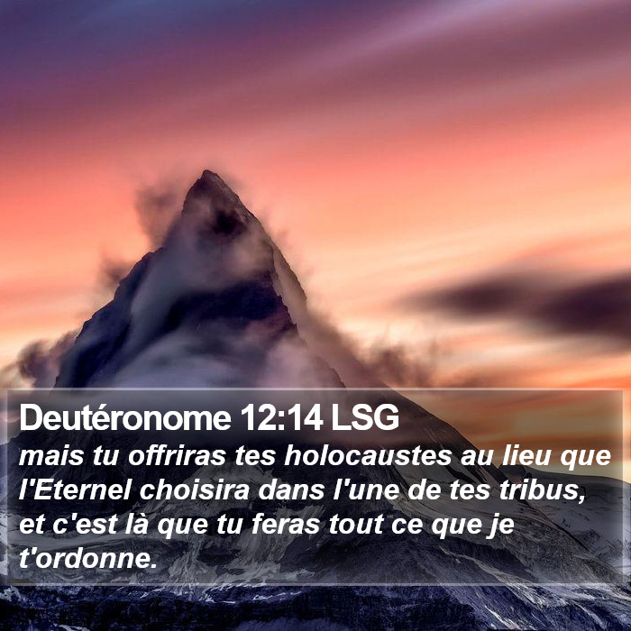 Deutéronome 12:14 LSG Bible Study
