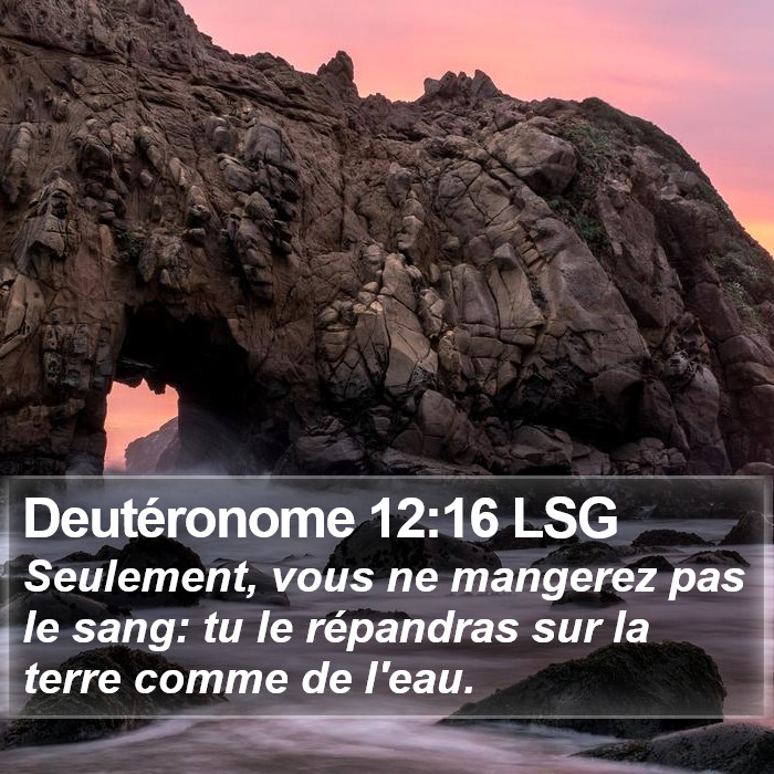 Deutéronome 12:16 LSG Bible Study
