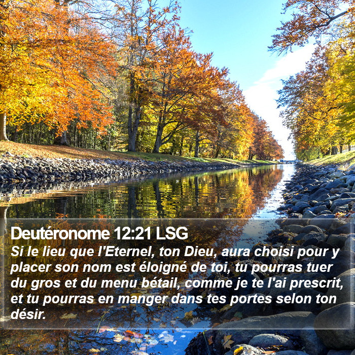 Deutéronome 12:21 LSG Bible Study