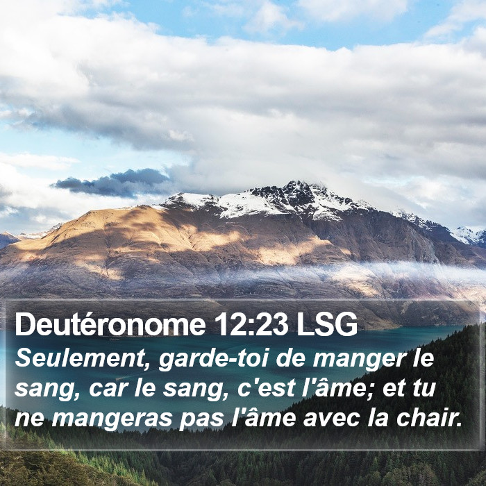 Deutéronome 12:23 LSG Bible Study