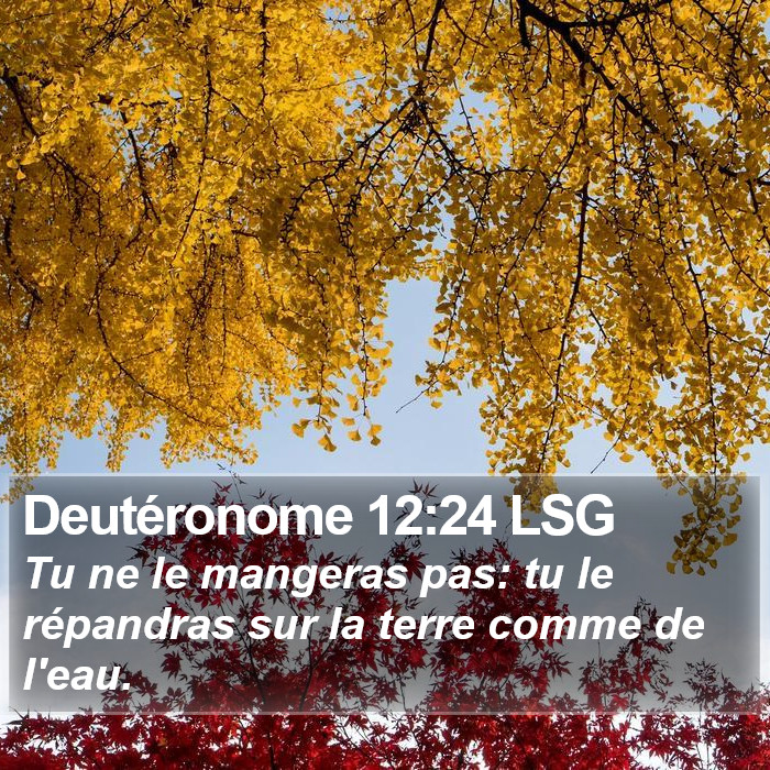 Deutéronome 12:24 LSG Bible Study