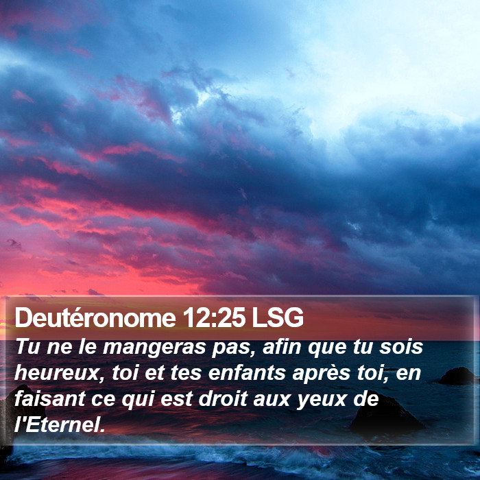 Deutéronome 12:25 LSG Bible Study