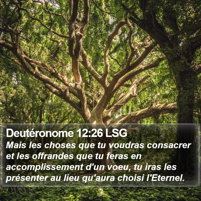 Deutéronome 12:26 LSG Bible Study