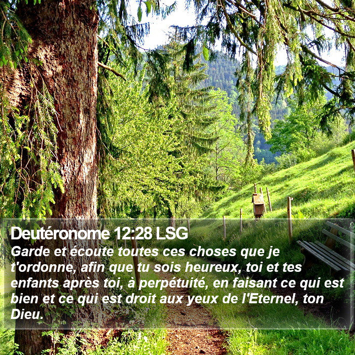 Deutéronome 12:28 LSG Bible Study