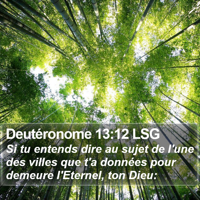 Deutéronome 13:12 LSG Bible Study