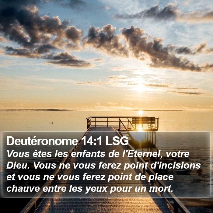 Deutéronome 14:1 LSG Bible Study