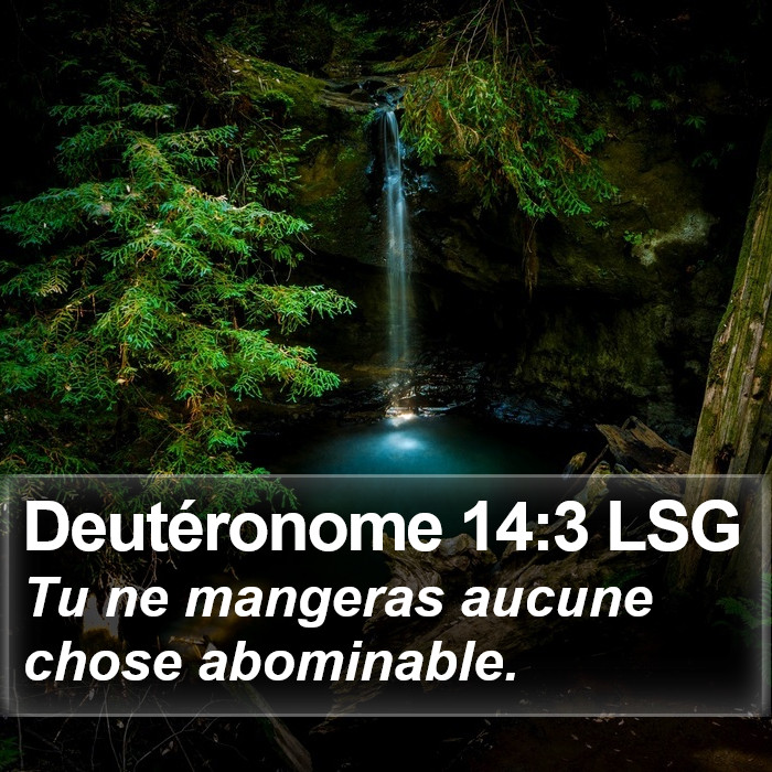 Deutéronome 14:3 LSG Bible Study