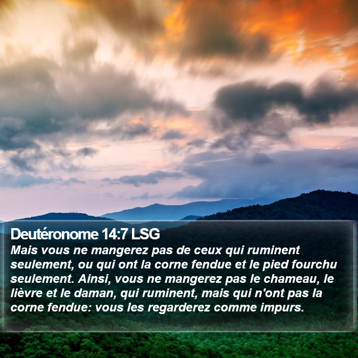 Deutéronome 14:7 LSG Bible Study