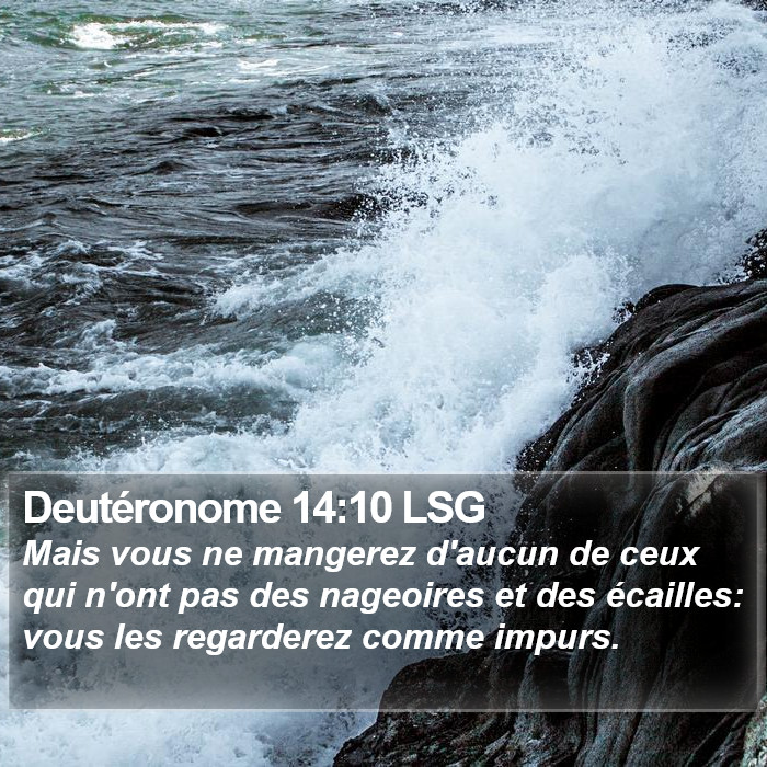 Deutéronome 14:10 LSG Bible Study