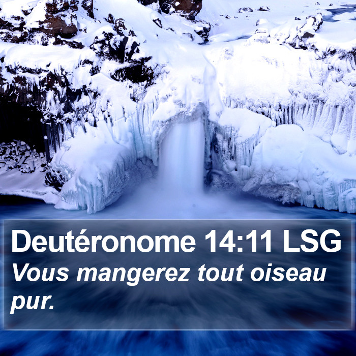 Deutéronome 14:11 LSG Bible Study