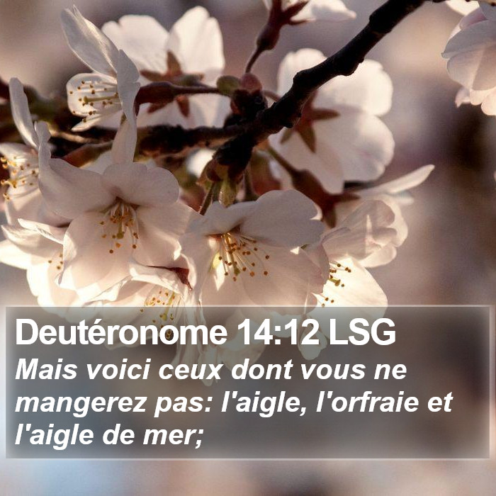 Deutéronome 14:12 LSG Bible Study