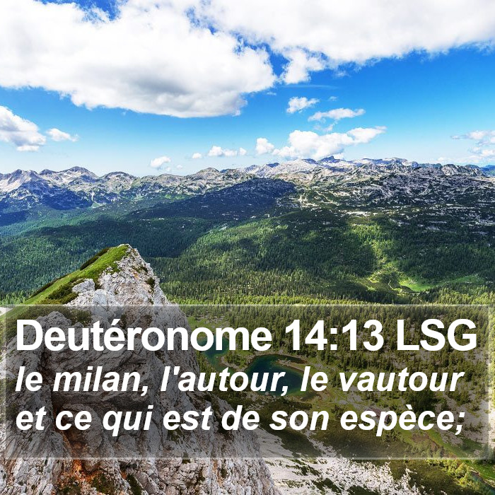 Deutéronome 14:13 LSG Bible Study