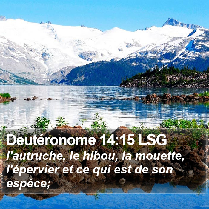 Deutéronome 14:15 LSG Bible Study