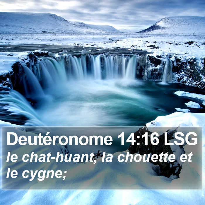 Deutéronome 14:16 LSG Bible Study