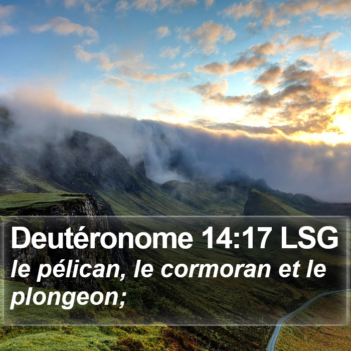 Deutéronome 14:17 LSG Bible Study