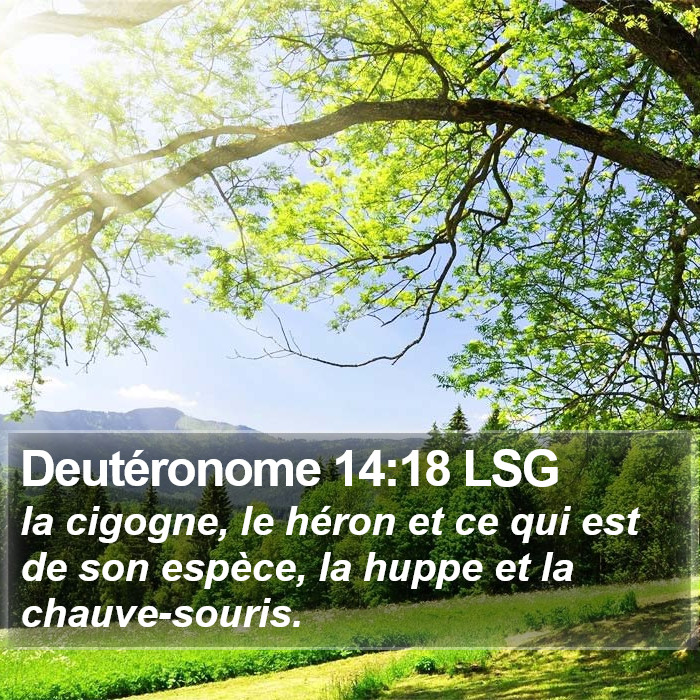 Deutéronome 14:18 LSG Bible Study