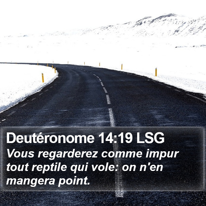 Deutéronome 14:19 LSG Bible Study