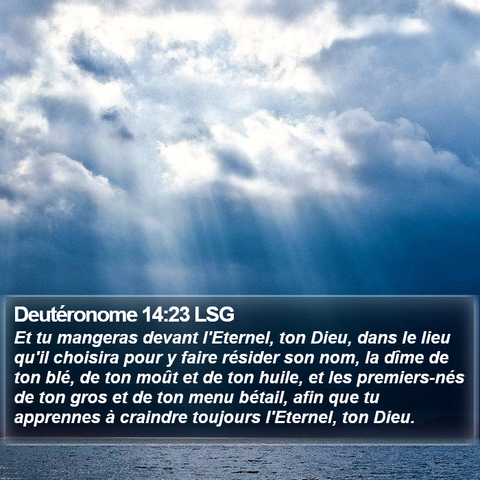 Deutéronome 14:23 LSG Bible Study