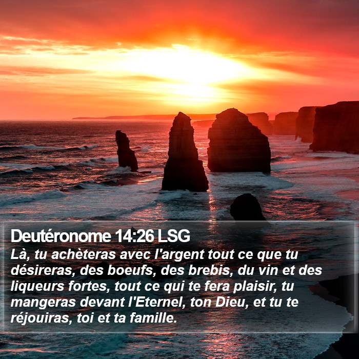 Deutéronome 14:26 LSG Bible Study