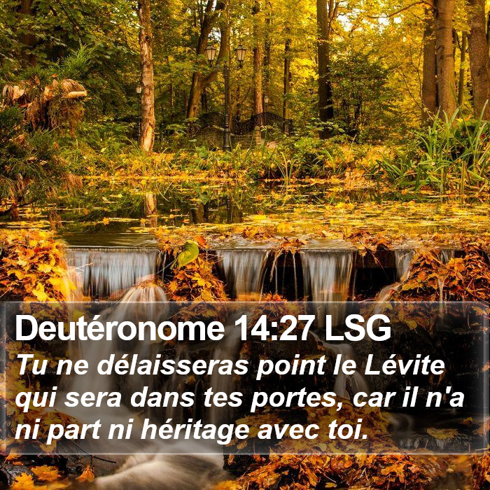 Deutéronome 14:27 LSG Bible Study