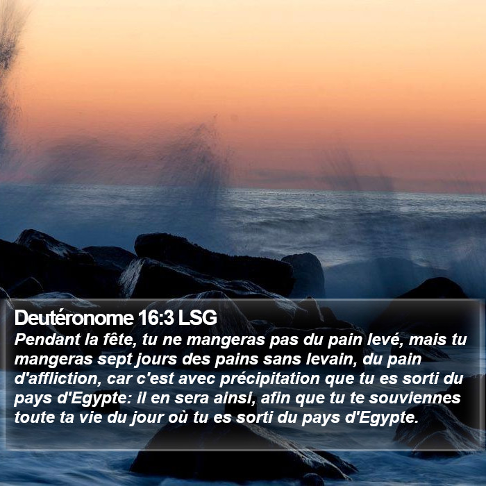 Deutéronome 16:3 LSG Bible Study