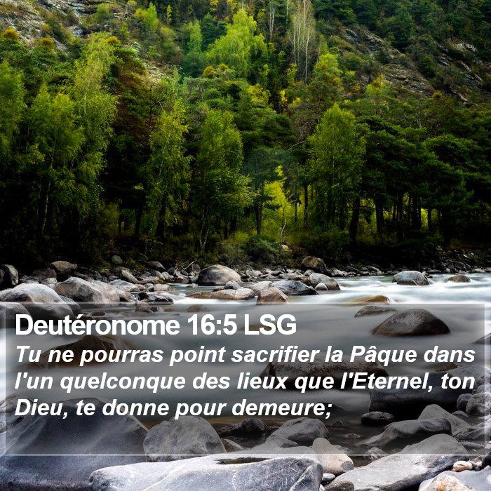 Deutéronome 16:5 LSG Bible Study