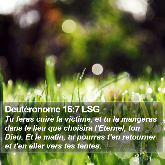 Deutéronome 16:7 LSG Bible Study