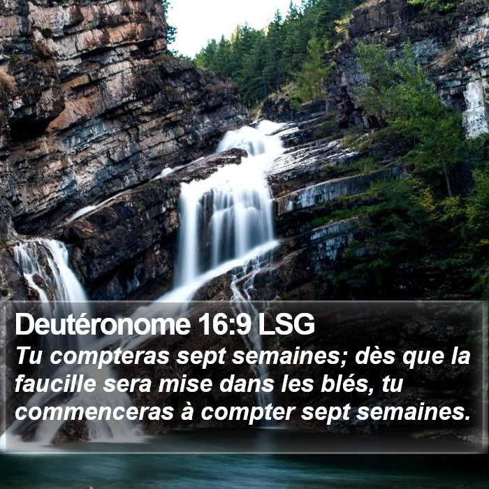 Deutéronome 16:9 LSG Bible Study
