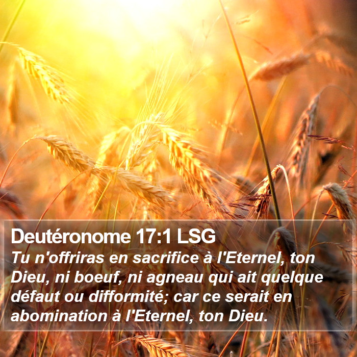 Deutéronome 17:1 LSG Bible Study